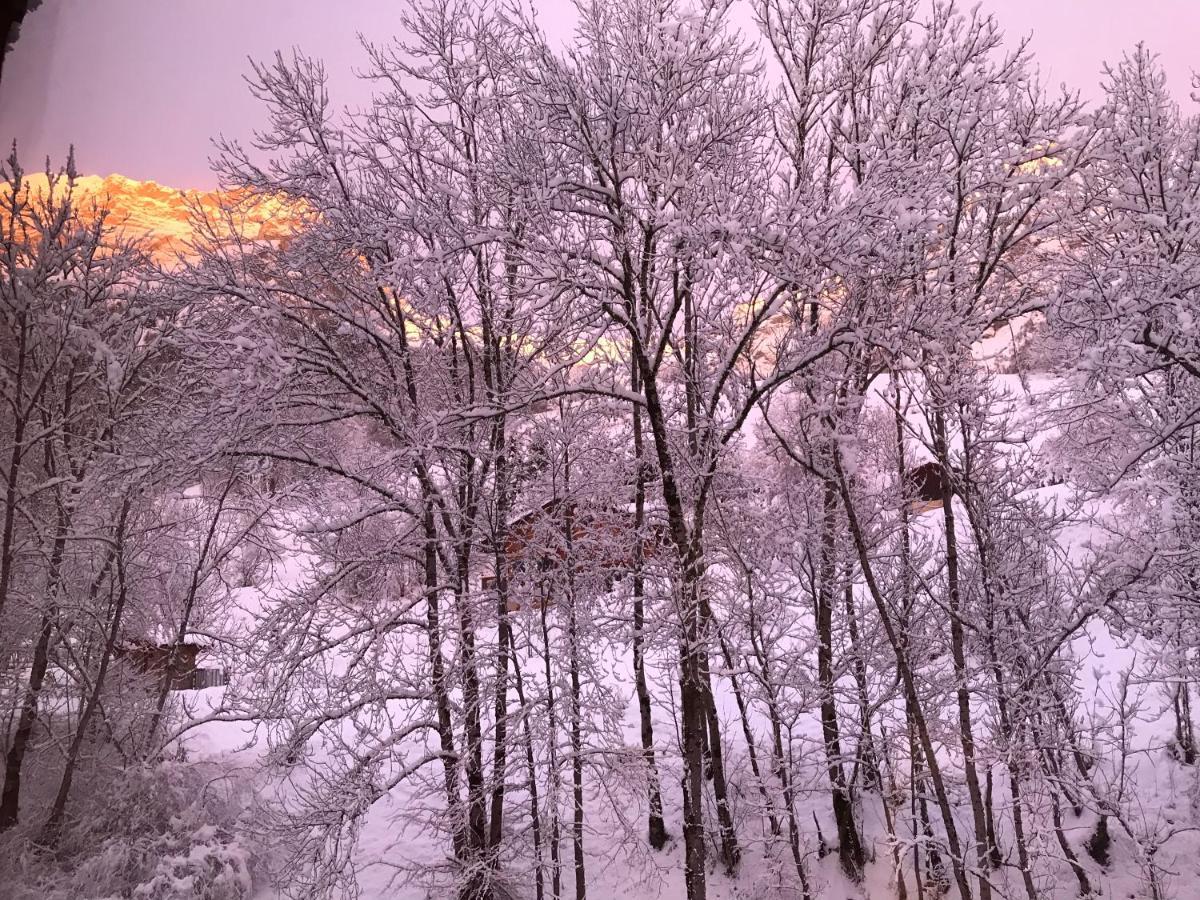 Magnifique T3 Entre Lac Et Montagne Pres D'Annecy Montmin Luaran gambar